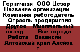 Горничная. ООО Цезар › Название организации ­ Компания-работодатель › Отрасль предприятия ­ Другое › Минимальный оклад ­ 1 - Все города Работа » Вакансии   . Алтайский край,Алейск г.